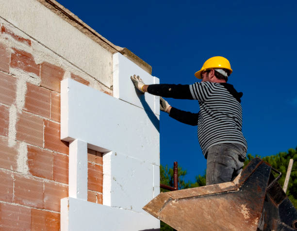 Best Insulation Installation Services in Susitna North, AK