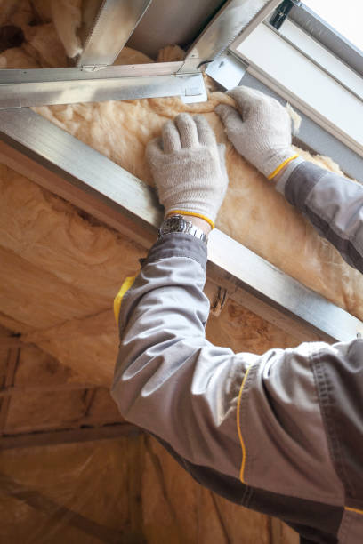 Best Insulation Materials and Products in Susitna North, AK